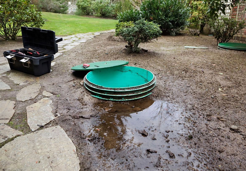 7 Major Signs Your Drain Field is Failing