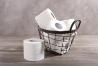 Are All Types of Toilet Tissue Safe for Use in a Septic System?