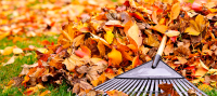 A Fall Maintenance Checklist for Your Home or Business 